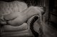 JoMP_JenieG06-658